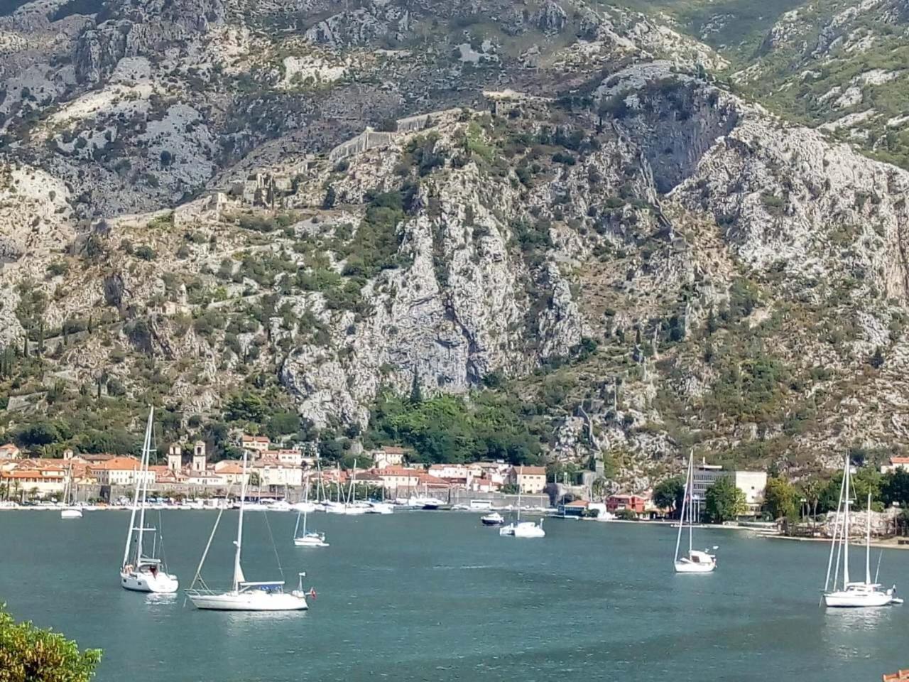 Apartments Darija Kotor Extérieur photo